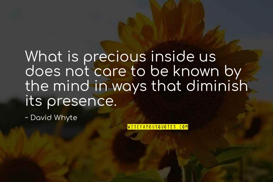 Andrzej Majewski Quotes By David Whyte: What is precious inside us does not care Andrzej Majewski Quotes By David Whyte: What is precious inside us does not care