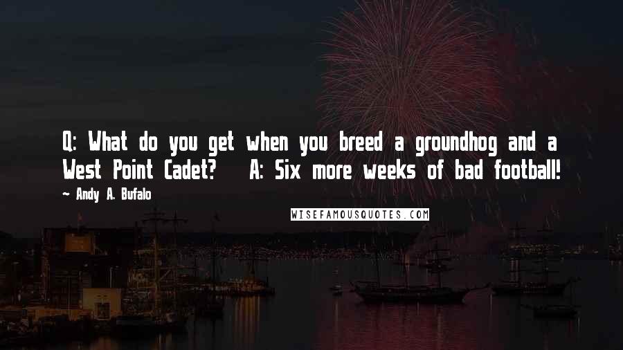 Andy A. Bufalo quotes: Q: What do you get when you breed a groundhog and a West Point Cadet? A: Six more weeks of bad football!