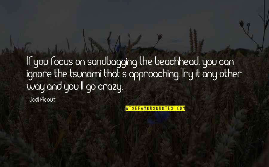 Andy And April Parks And Rec Quotes By Jodi Picoult: If you focus on sandbagging the beachhead, you
