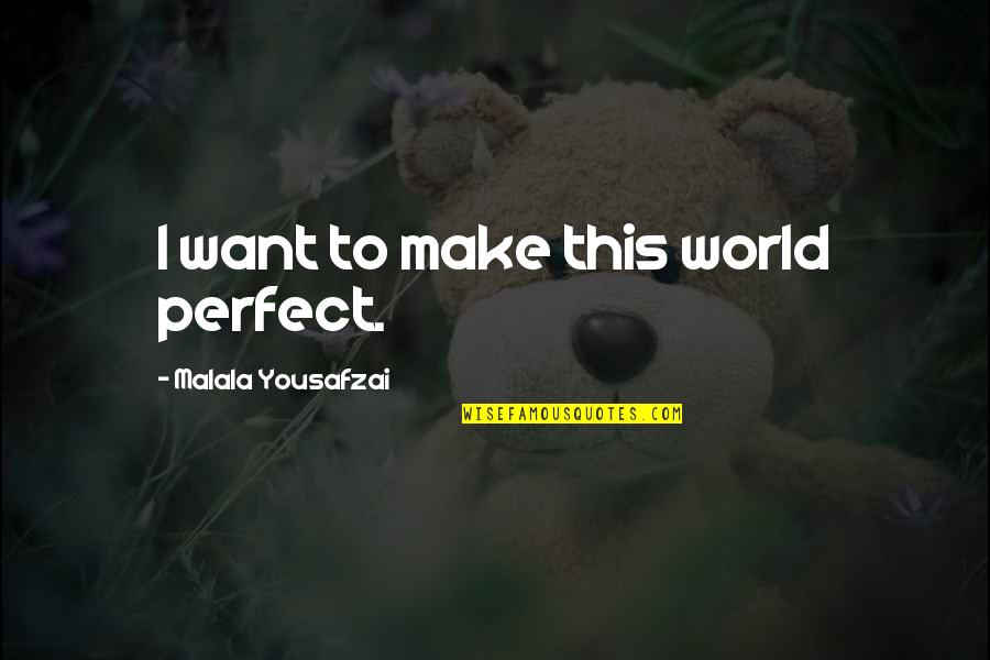 Andy Bellefleur Funny Quotes By Malala Yousafzai: I want to make this world perfect. Andy Bellefleur Funny Quotes By Malala Yousafzai: I want to make this world perfect.