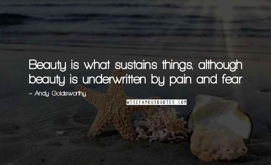 Andy Goldsworthy quotes: Beauty is what sustains things, although beauty is underwritten by pain and fear.