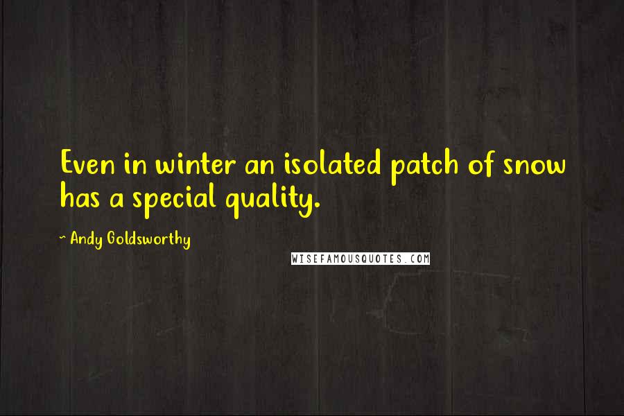Andy Goldsworthy quotes: Even in winter an isolated patch of snow has a special quality.