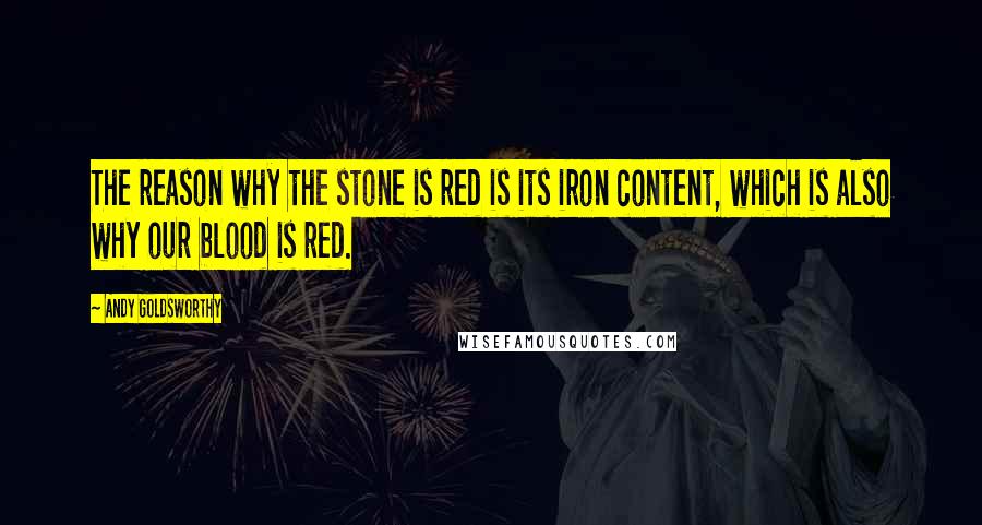 Andy Goldsworthy quotes: The reason why the stone is red is its iron content, which is also why our blood is red.