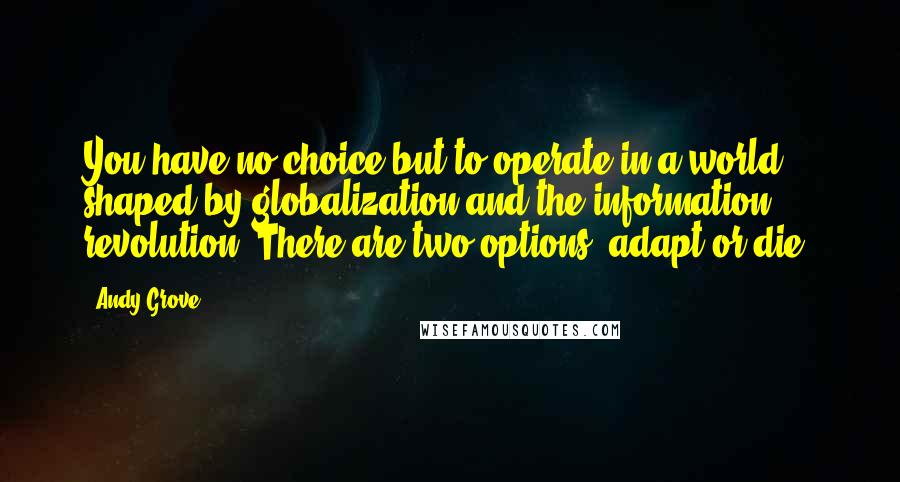 Andy Grove quotes: You have no choice but to operate in a world shaped by globalization and the information revolution. There are two options: adapt or die.