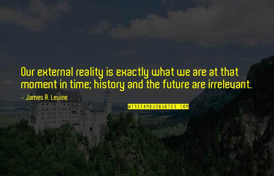 Andy Irons Inspirational Quotes By James A. Levine: Our external reality is exactly what we are