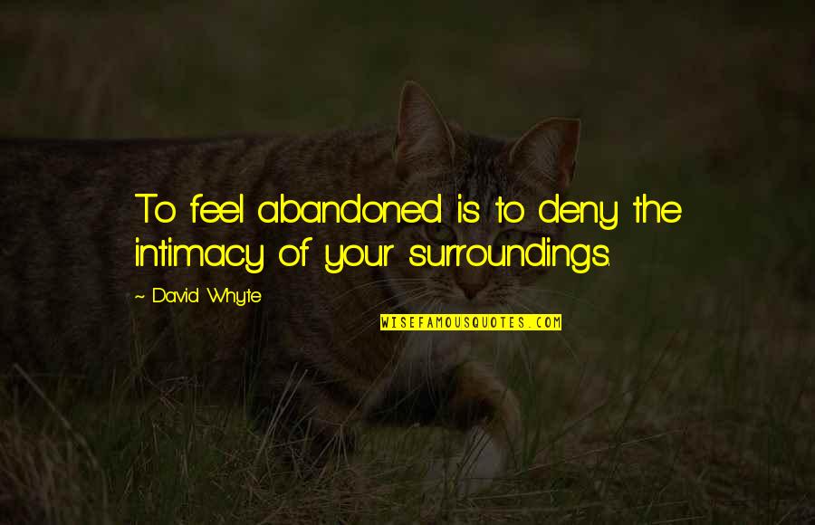 Andy Kirkpatrick Quotes By David Whyte: To feel abandoned is to deny the intimacy