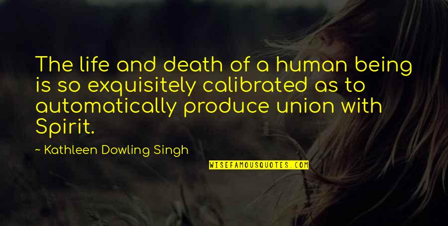 Andy Krieger Quotes By Kathleen Dowling Singh: The life and death of a human being Andy Krieger Quotes By Kathleen Dowling Singh: The life and death of a human being