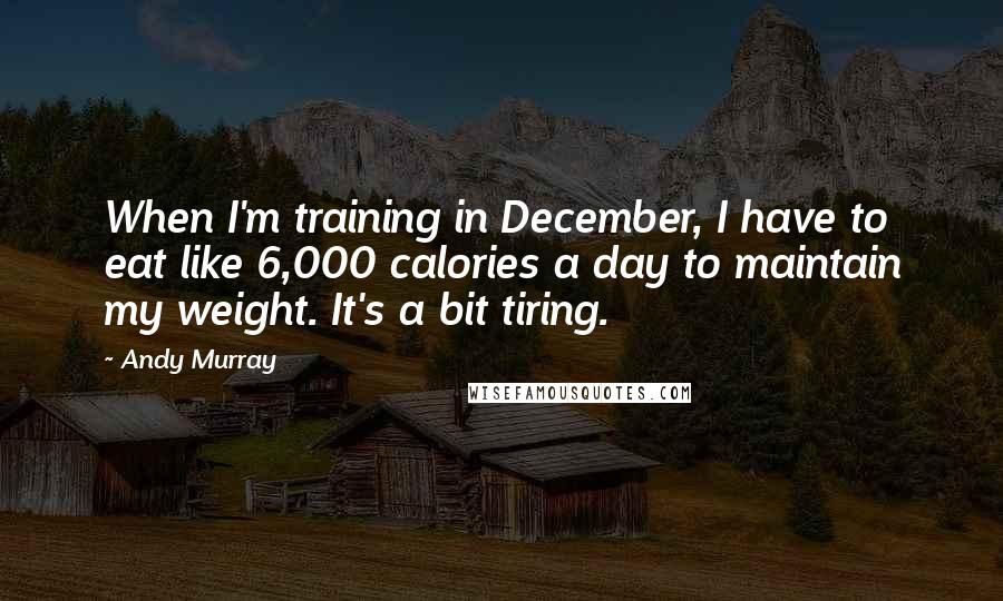 Andy Murray quotes: When I'm training in December, I have to eat like 6,000 calories a day to maintain my weight. It's a bit tiring. Andy Murray quotes: When I'm training in December, I have to eat like 6,000 calories a day to maintain my weight. It's a bit tiring.