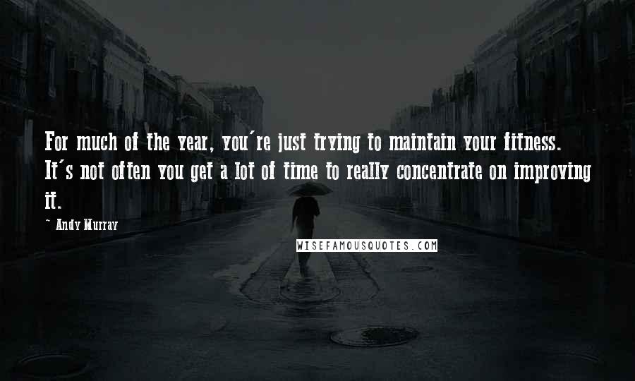 Andy Murray quotes: For much of the year, you're just trying to maintain your fitness. It's not often you get a lot of time to really concentrate on improving it.