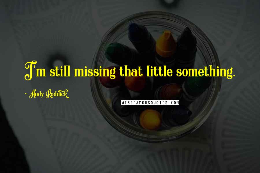 Andy Roddick quotes: I'm still missing that little something.