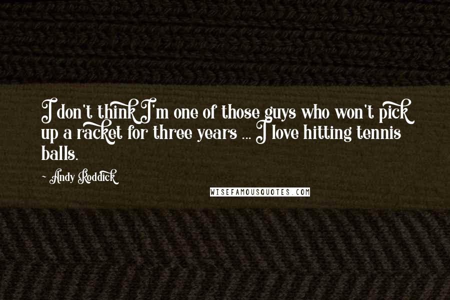 Andy Roddick quotes: I don't think I'm one of those guys who won't pick up a racket for three years ... I love hitting tennis balls.