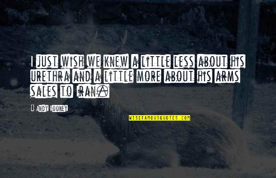 Andy Rooney Quotes By Andy Rooney: I just wish we knew a little less