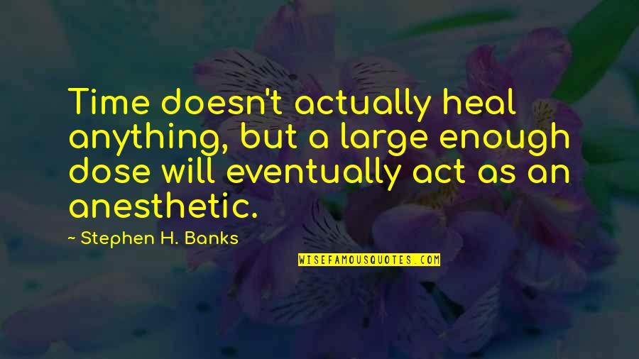 Anesthetic Quotes By Stephen H. Banks: Time doesn't actually heal anything, but a large Anesthetic Quotes By Stephen H. Banks: Time doesn't actually heal anything, but a large
