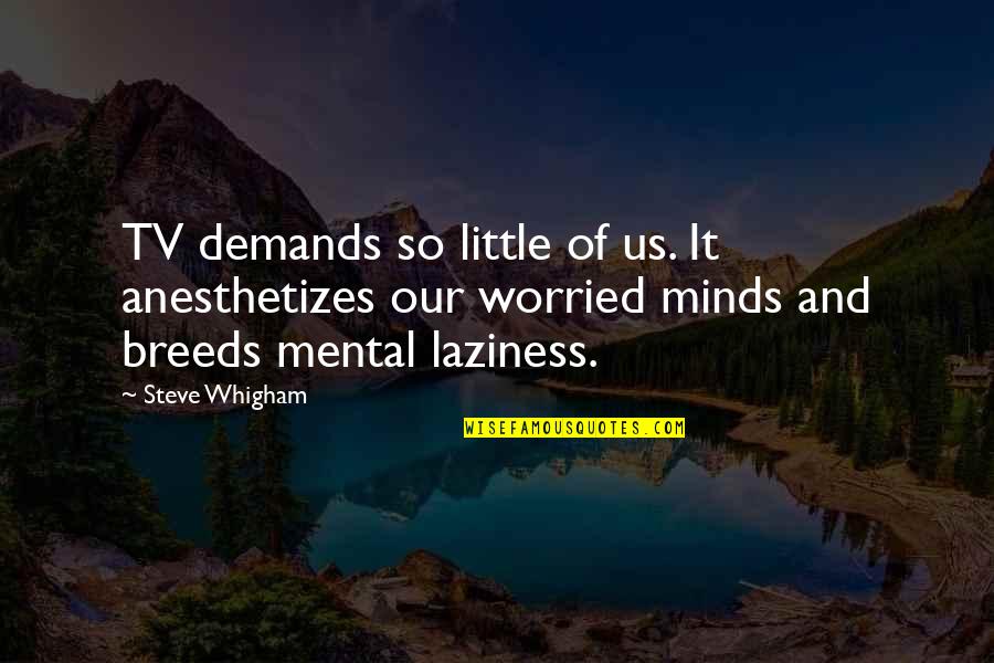 Anesthetizes Quotes By Steve Whigham: TV demands so little of us. It anesthetizes