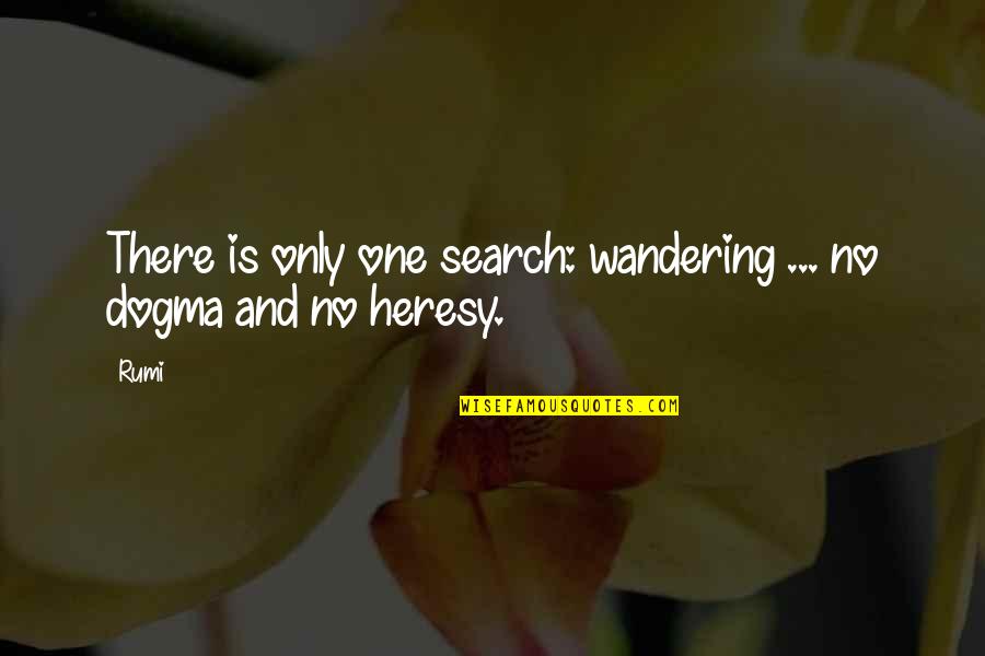 Anett Ancsa Quotes By Rumi: There is only one search: wandering ... no
