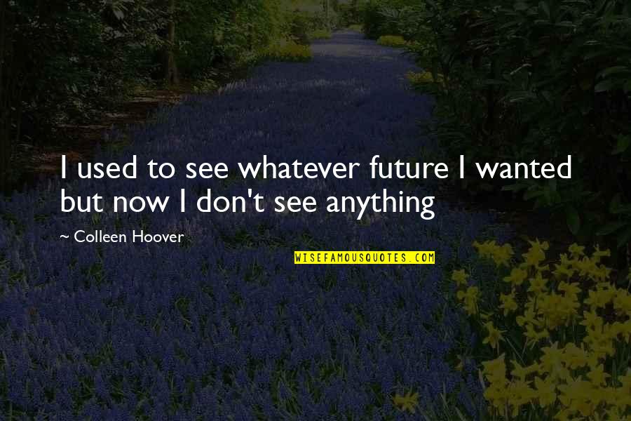 Anfangs September Quotes By Colleen Hoover: I used to see whatever future I wanted