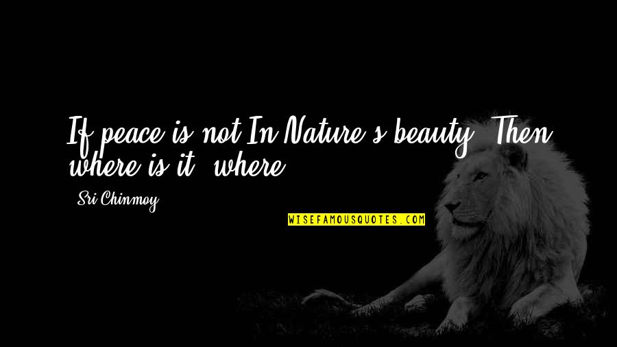Anfruns Usados Quotes By Sri Chinmoy: If peace is not In Nature's beauty, Then