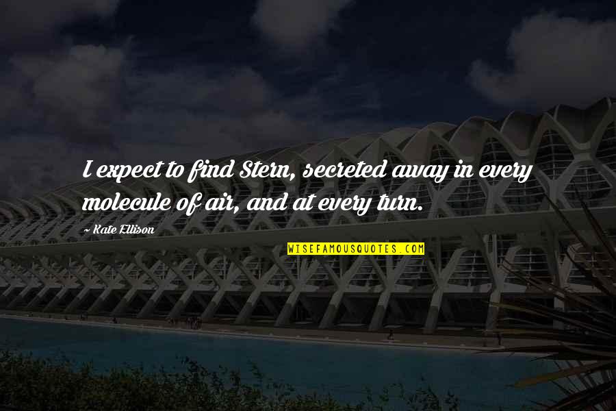 Ang Mga Babae Parang Quotes By Kate Ellison: I expect to find Stern, secreted away in