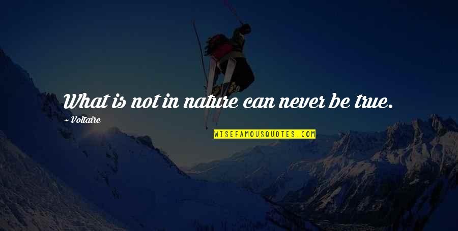 Ang Tunay Na Estudyante Quotes By Voltaire: What is not in nature can never be