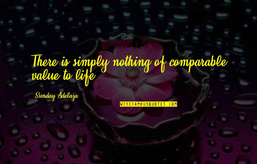 Ang Tunay Na Ugali Quotes By Sunday Adelaja: There is simply nothing of comparable value to