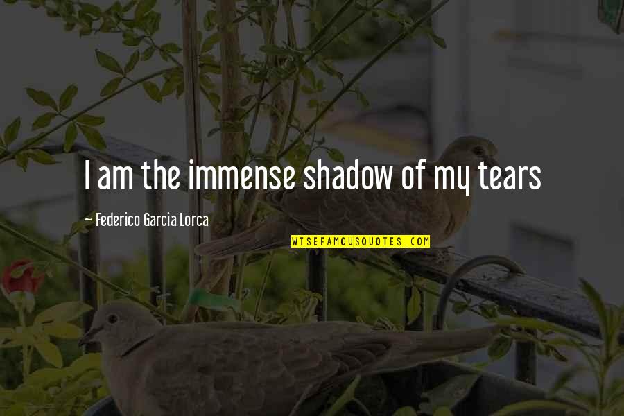 Angegeben In English Quotes By Federico Garcia Lorca: I am the immense shadow of my tears