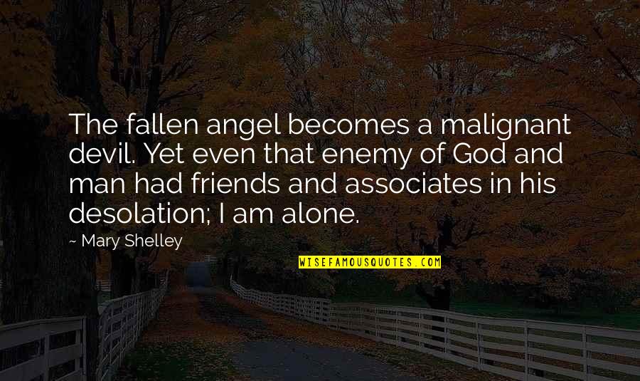 Angel And Devil Quotes By Mary Shelley: The fallen angel becomes a malignant devil. Yet