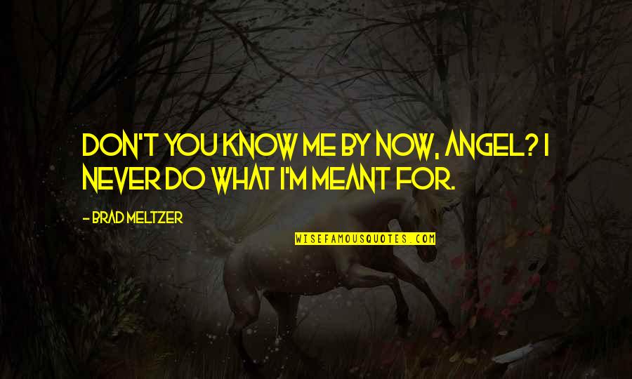 Angel Buffy Quotes By Brad Meltzer: Don't you know me by now, Angel? I