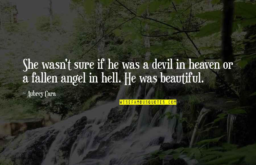 Angel Devil Quotes By Aubrey Cara: She wasn't sure if he was a devil