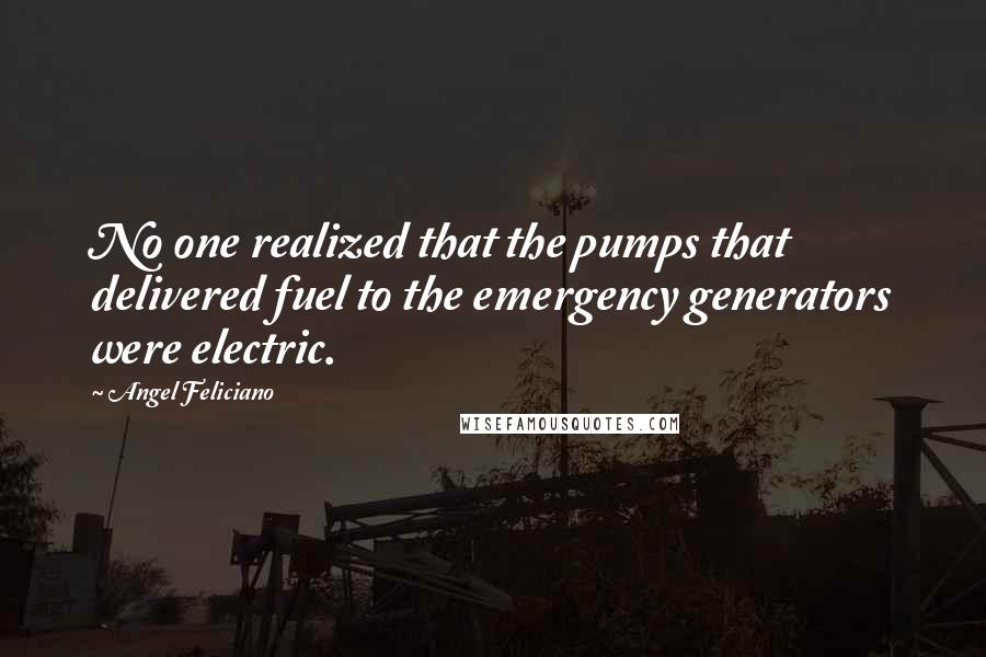 Angel Feliciano quotes: No one realized that the pumps that delivered fuel to the emergency generators were electric.