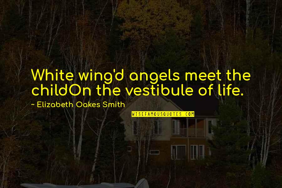 Angel In White Quotes By Elizabeth Oakes Smith: White wing'd angels meet the childOn the vestibule