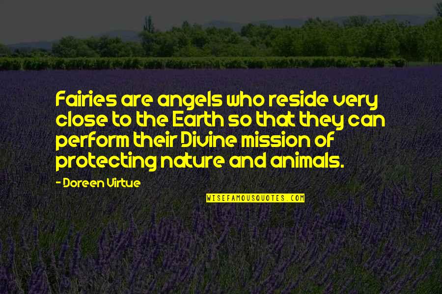 Angel Protecting Quotes By Doreen Virtue: Fairies are angels who reside very close to