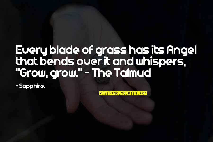 Angel Whispers Quotes By Sapphire.: Every blade of grass has its Angel that