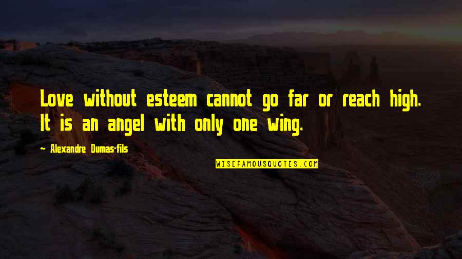 Angel Wing Quotes By Alexandre Dumas-fils: Love without esteem cannot go far or reach