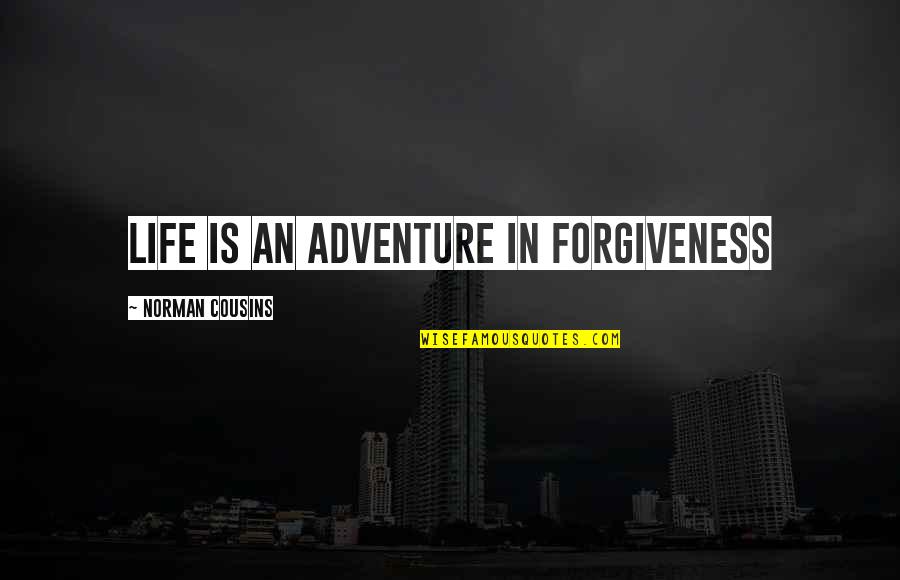 Angela Rizzoli Quotes By Norman Cousins: Life is an adventure in forgiveness