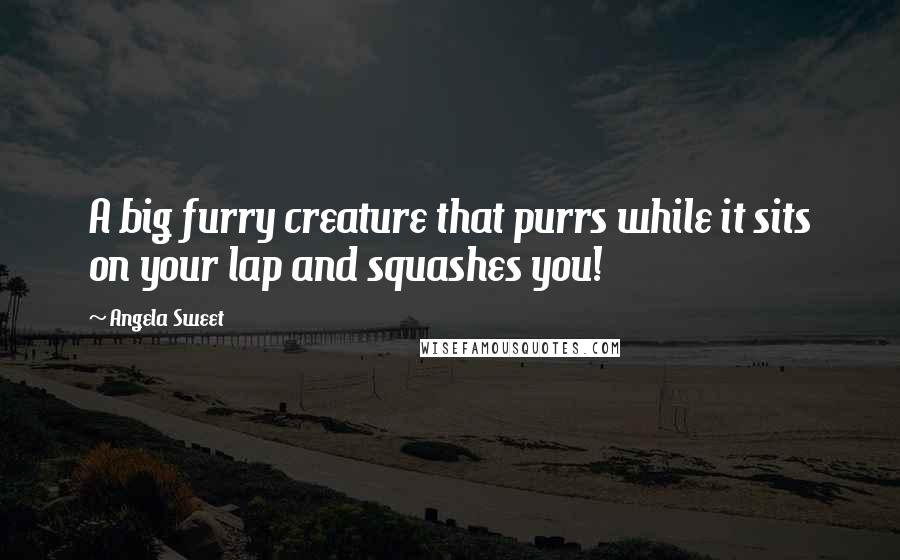 Angela Sweet quotes: A big furry creature that purrs while it sits on your lap and squashes you!