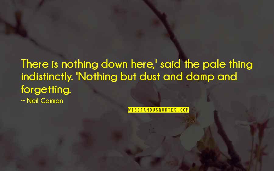 Angelas Ashes Chapter 8 Quotes By Neil Gaiman: There is nothing down here,' said the pale Angelas Ashes Chapter 8 Quotes By Neil Gaiman: There is nothing down here,' said the pale