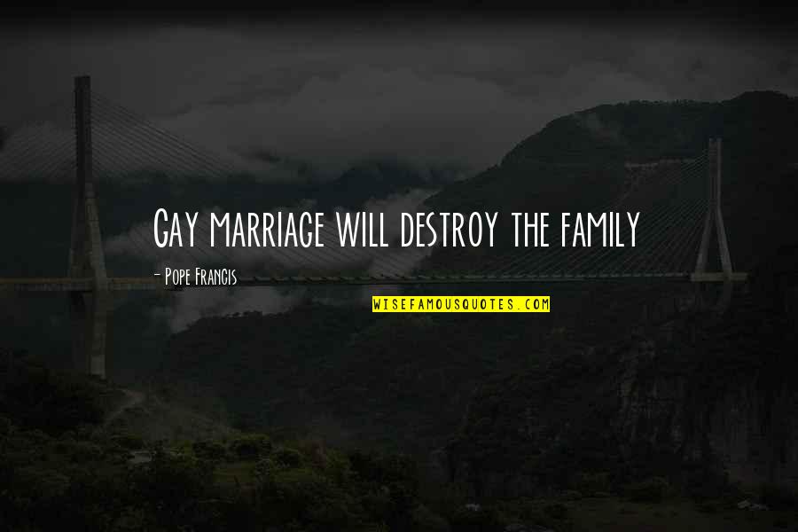 Angelfall Quotes By Pope Francis: Gay marriage will destroy the family