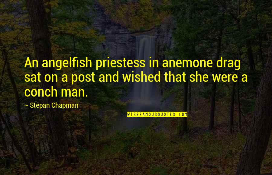 Angelfish Quotes By Stepan Chapman: An angelfish priestess in anemone drag sat on