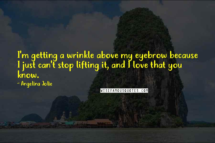 Angelina Jolie quotes: I'm getting a wrinkle above my eyebrow because I just can't stop lifting it, and I love that you know.