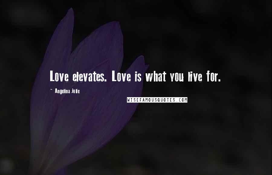 Angelina Jolie quotes: Love elevates. Love is what you live for.