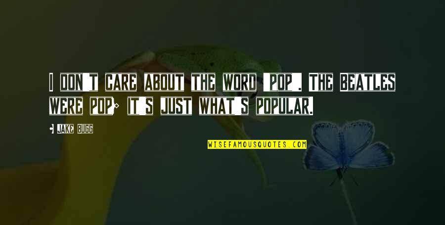 Angelissa Johnson Quotes By Jake Bugg: I don't care about the word 'pop'. The