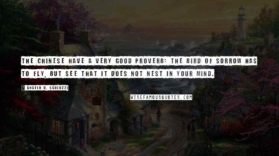 Angelo D. Scolozzi quotes: The Chinese have a very good proverb: The bird of sorrow has to fly, but see that it does not nest in your mind.