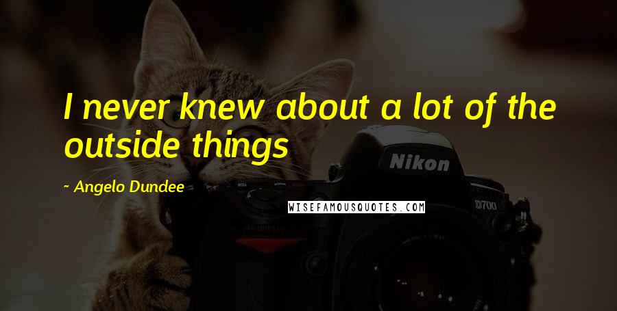 Angelo Dundee quotes: I never knew about a lot of the outside things