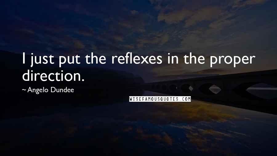 Angelo Dundee quotes: I just put the reflexes in the proper direction.