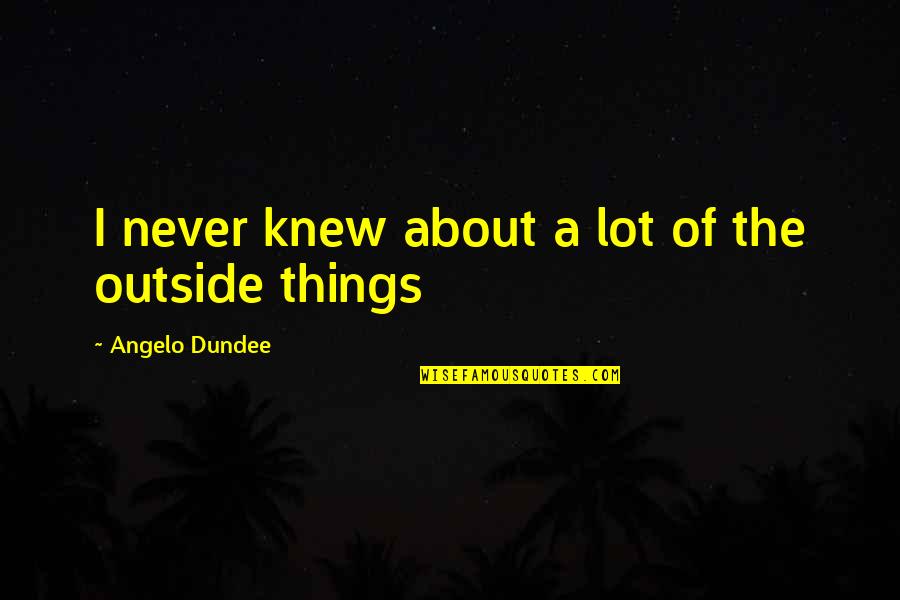 Angelo Dundee Quotes By Angelo Dundee: I never knew about a lot of the