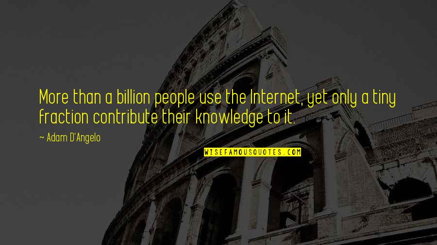 Angelo Quotes By Adam D'Angelo: More than a billion people use the Internet,