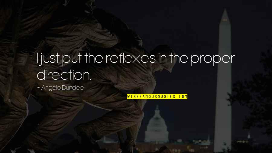 Angelo Quotes By Angelo Dundee: I just put the reflexes in the proper
