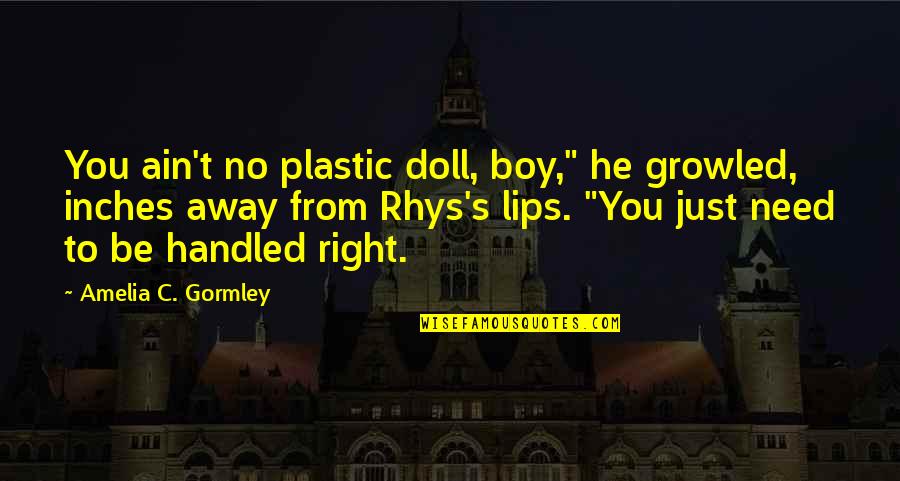 Angelos Epithemiou Quotes By Amelia C. Gormley: You ain't no plastic doll, boy," he growled,
