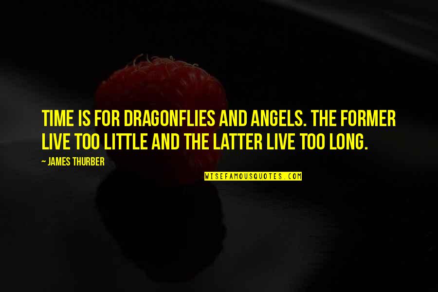 Angels And Quotes By James Thurber: Time is for dragonflies and angels. The former