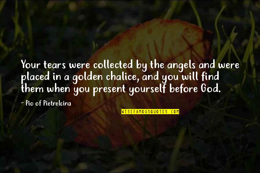 Angels And Quotes By Pio Of Pietrelcina: Your tears were collected by the angels and